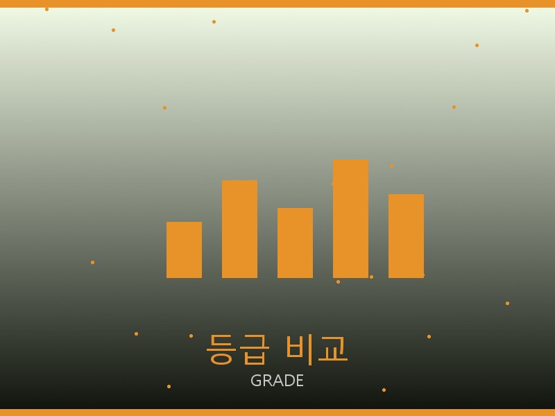 아바 트리옹프 미디엄 레플 등급 기준 비교